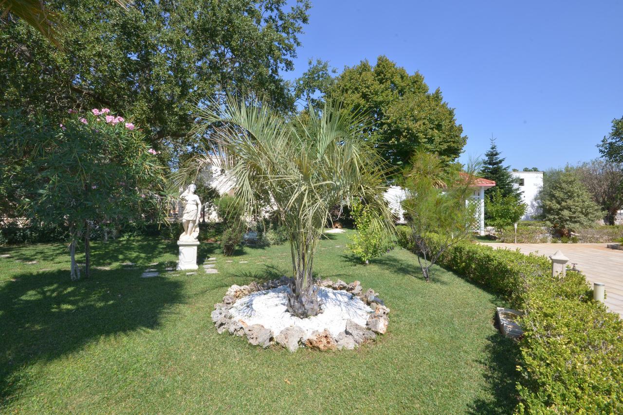 Villa Petra Chiara Locorotondo Zewnętrze zdjęcie
